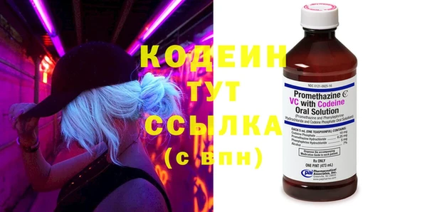 эйфоретик Гусь-Хрустальный