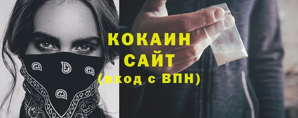 молекула духа Горняк