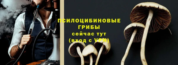 скорость Горнозаводск