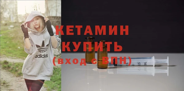 эйфоретик Гусь-Хрустальный