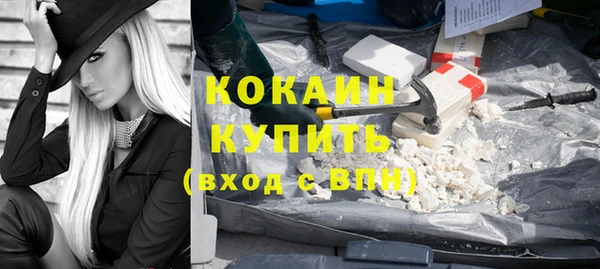 эйфоретик Гусь-Хрустальный