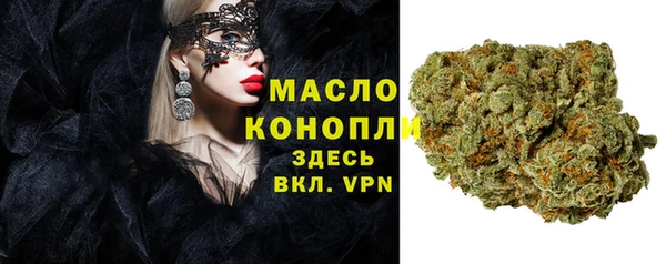 эйфоретик Гусь-Хрустальный