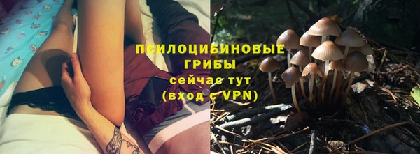 эйфоретик Гусь-Хрустальный