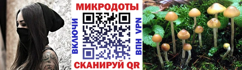 Псилоцибиновые грибы MAGIC MUSHROOMS продажа наркотиков Конаково